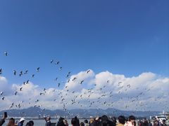 -海埂大坝