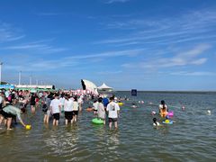 -碧海金沙
