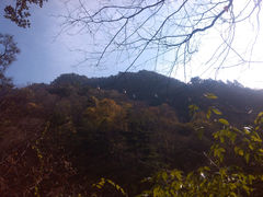 景点-朱雀国家森林公园