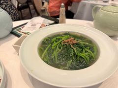 -八月花(旺角朗豪坊店)
