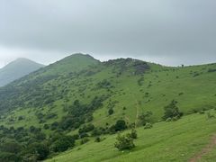 -大姆山草场