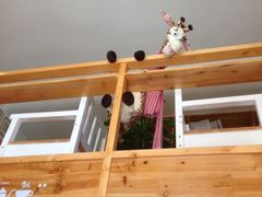 -长颈鹿咖啡(大学路店)