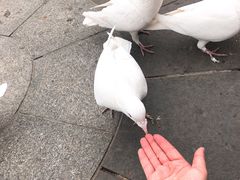 -南宫五洲植物乐园