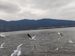 -海埂大坝
