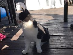 -潭柘厚院&山顶烤肉(潭柘寺店)