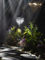 -南昌喜来登酒店·宴会厅