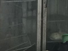 -金太粽(上海弄堂第一粽店)