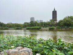 -西海子公园