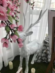 -谛融婚礼酒店·宴会厅(花园店)