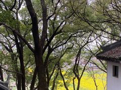 -上海佘山国家森林公园天马山园