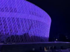 -福州海峡文化艺术中心