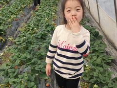 -小鱼草莓采摘园农家乐·小鱼餐厅