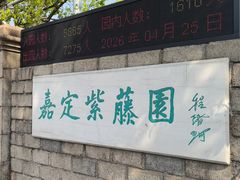 -嘉定紫藤园