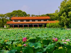 -南戴河国际娱乐中心