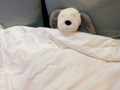 -上海明天广场JW万豪酒店