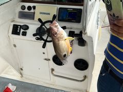 -鑫艋游艇海钓俱乐部