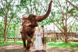 -太古映画婚纱摄影(天河店)