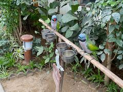 -南宫五洲植物乐园