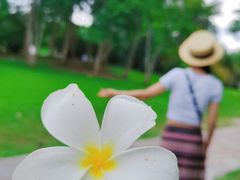 -中国科学院西双版纳热带植物园