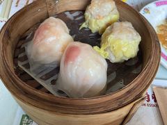 -憶廟街 X 沙角邨(太古城店)