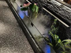 -大榕树下顺德菜(融创茂店)