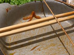 -苏小牛·牛肉串(国贸店)