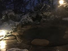 -天目湖涵田半山温泉