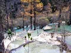 -黄龙山原始森林景区