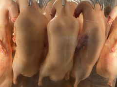 -北方家宴(番禺永旺店)