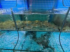 -陈小厨海鲜大咖·15年平潭味(龙王头店)