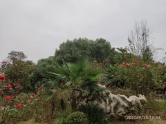-东湖落雁景区