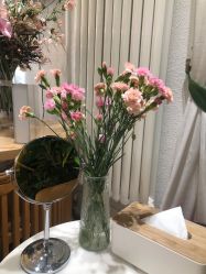 -薇薇安花系SPA