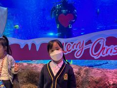 -沈阳海洋探索中心