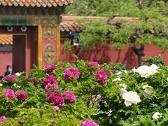 -天坛公园