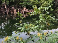 -白马涧龙池景区