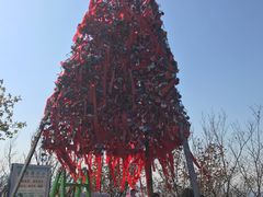 -帽儿山国家森林公园