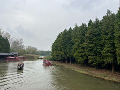 -溱湖国家湿地公园