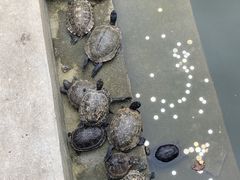 -南华禅寺