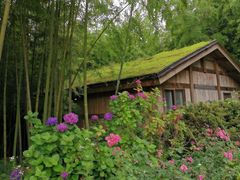-重庆雨台山风景区