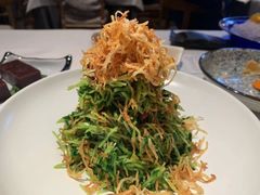 巧拌豆苗-四季民福烤鸭店(王府井灯市口店)