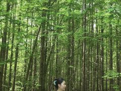 -桤木河湿地公园