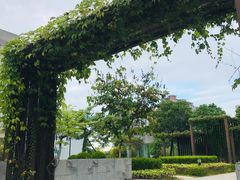 -南方医科大学深圳医院
