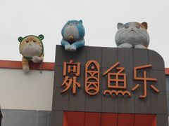 -向外鱼乐·土菜·虹鳟鱼