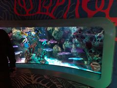 -沈阳海洋探索中心