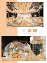 -DC大蔡婚礼策划(李公堤店)
