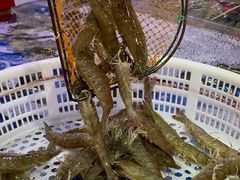 -东关街美食广场