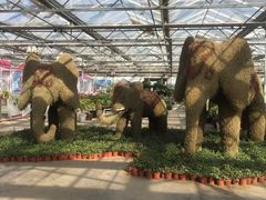 -天源吉布世温泉水乐园