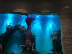 -瑞德姆美人鱼海底演艺主题餐厅(亚龙湾店)