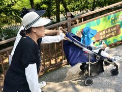 -西霞口神雕山野生动物世界