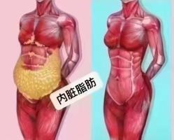 -香薇妮丝·定制减肥·身材管理